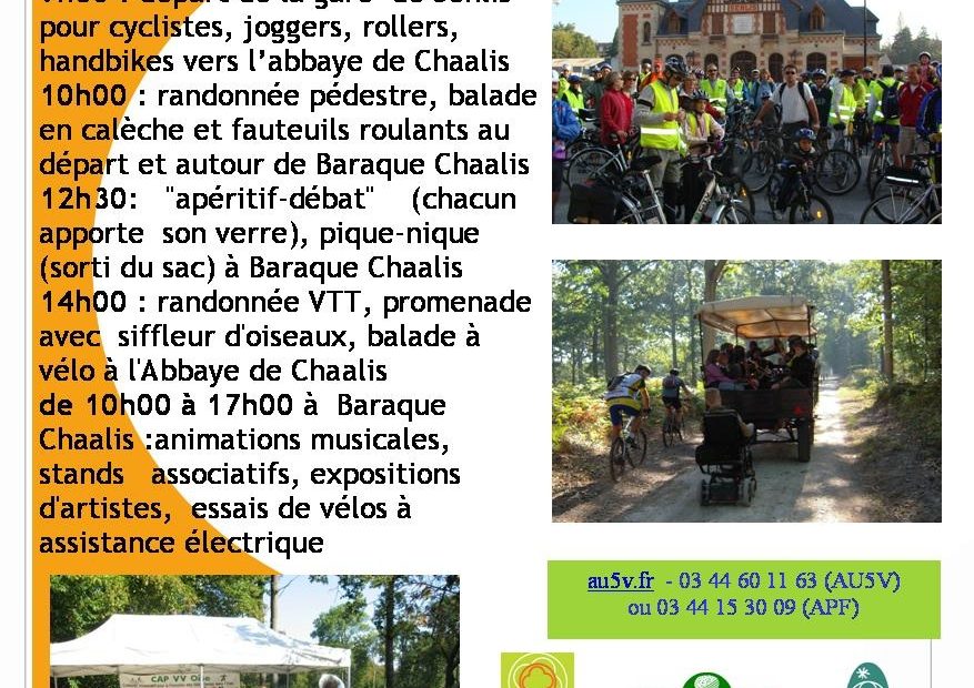 affiche_fete_des_vv_2011_senlis_.jpg
