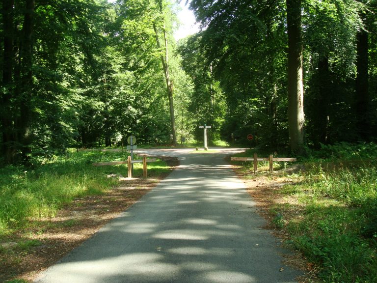 145.jpg